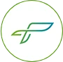 Texneo